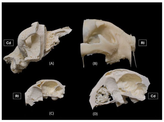 Education 15 00355 g003