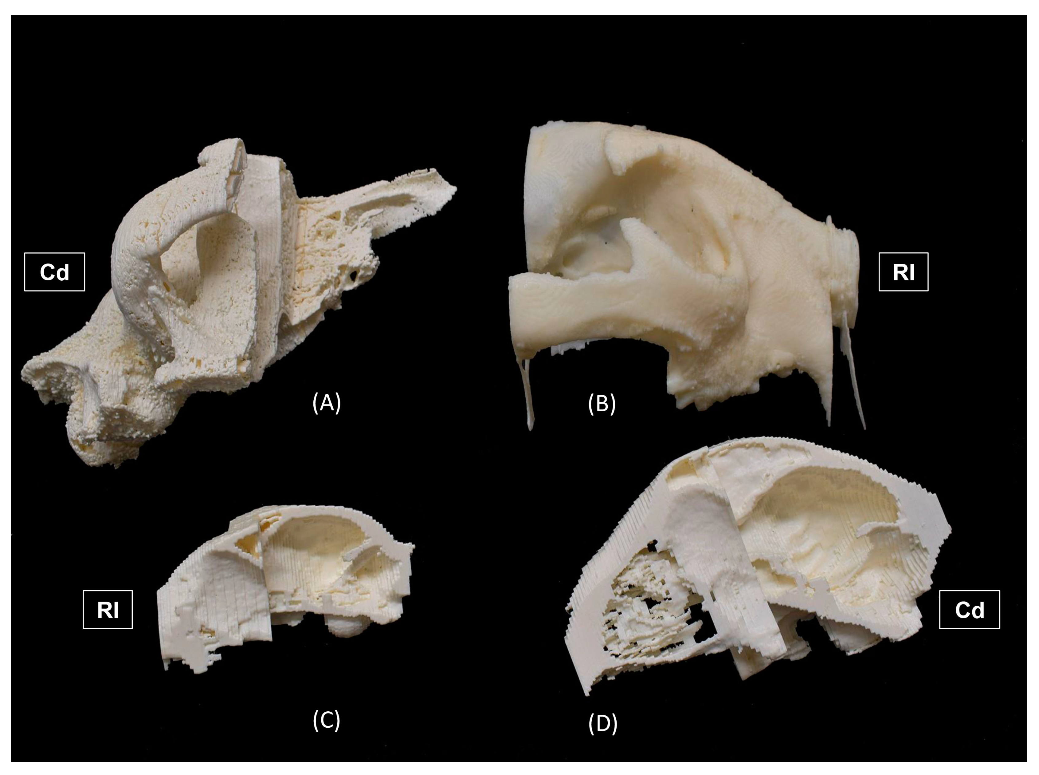 Education 15 00355 g003