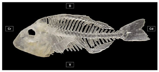 Education 15 00355 g004