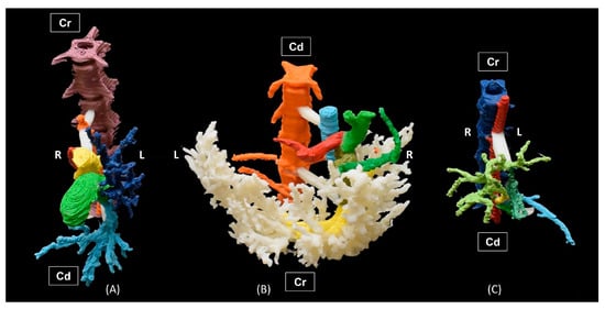 Education 15 00355 g005