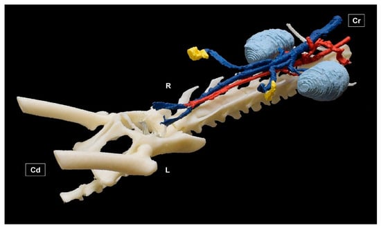 Education 15 00355 g006