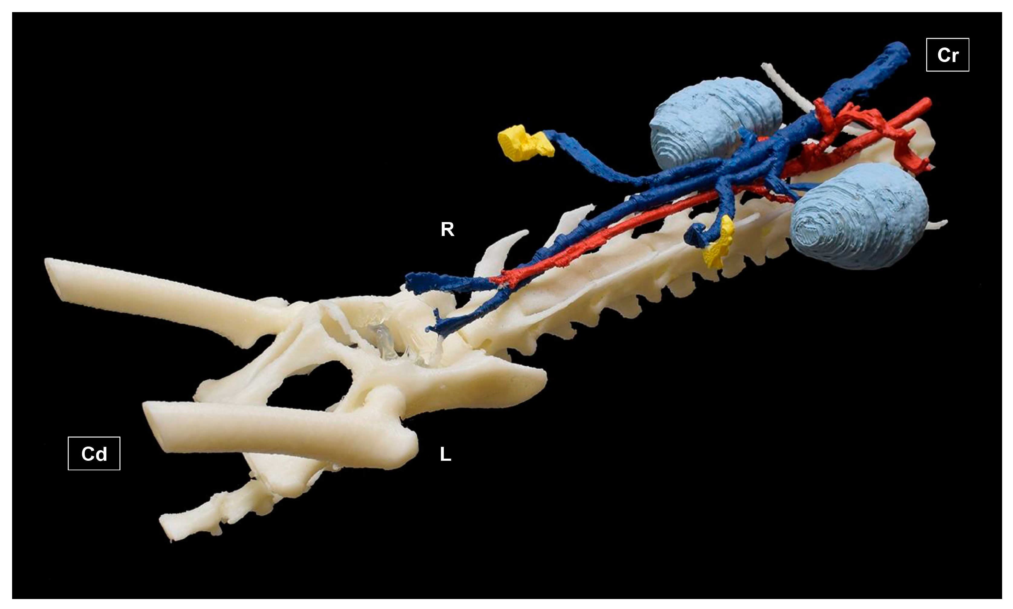 Education 15 00355 g006