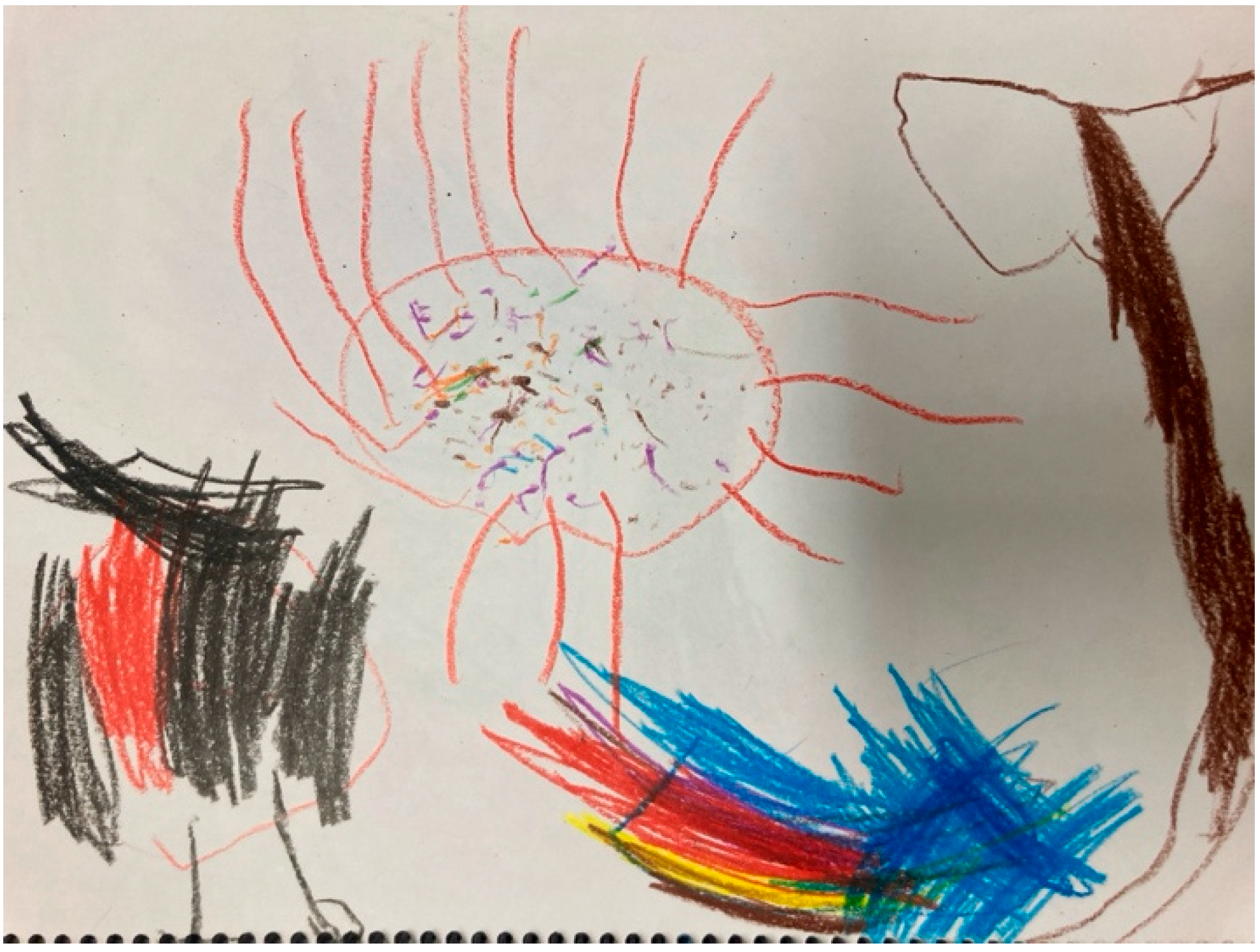 Education 15 00681 g005