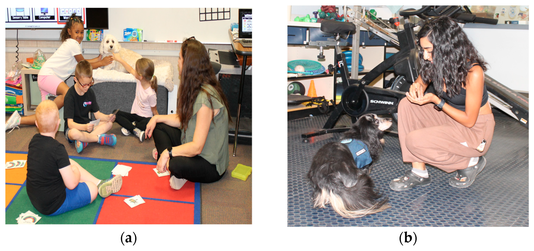 Education 15 00929 g004