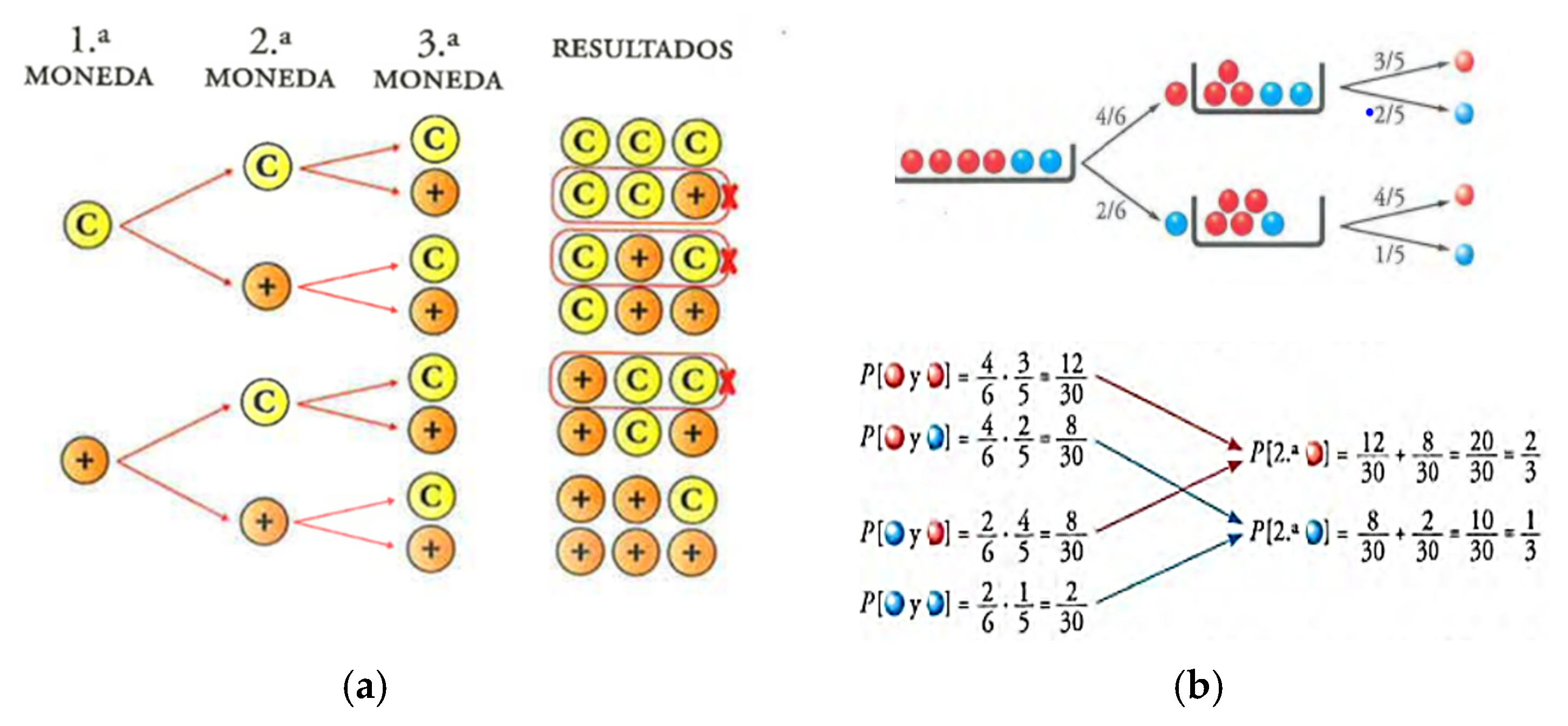 Education 15 00979 g005