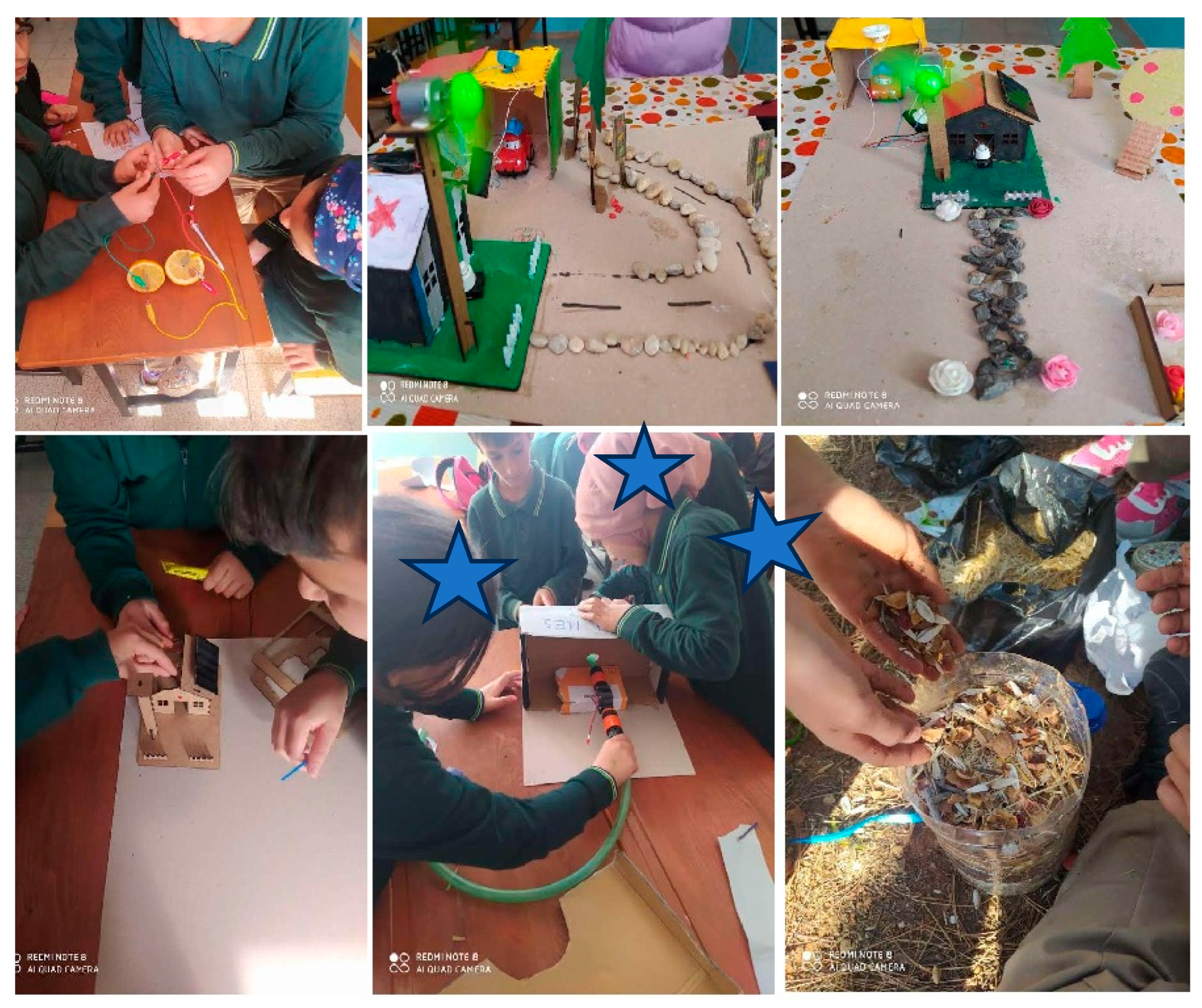 Education 15 01218 g001