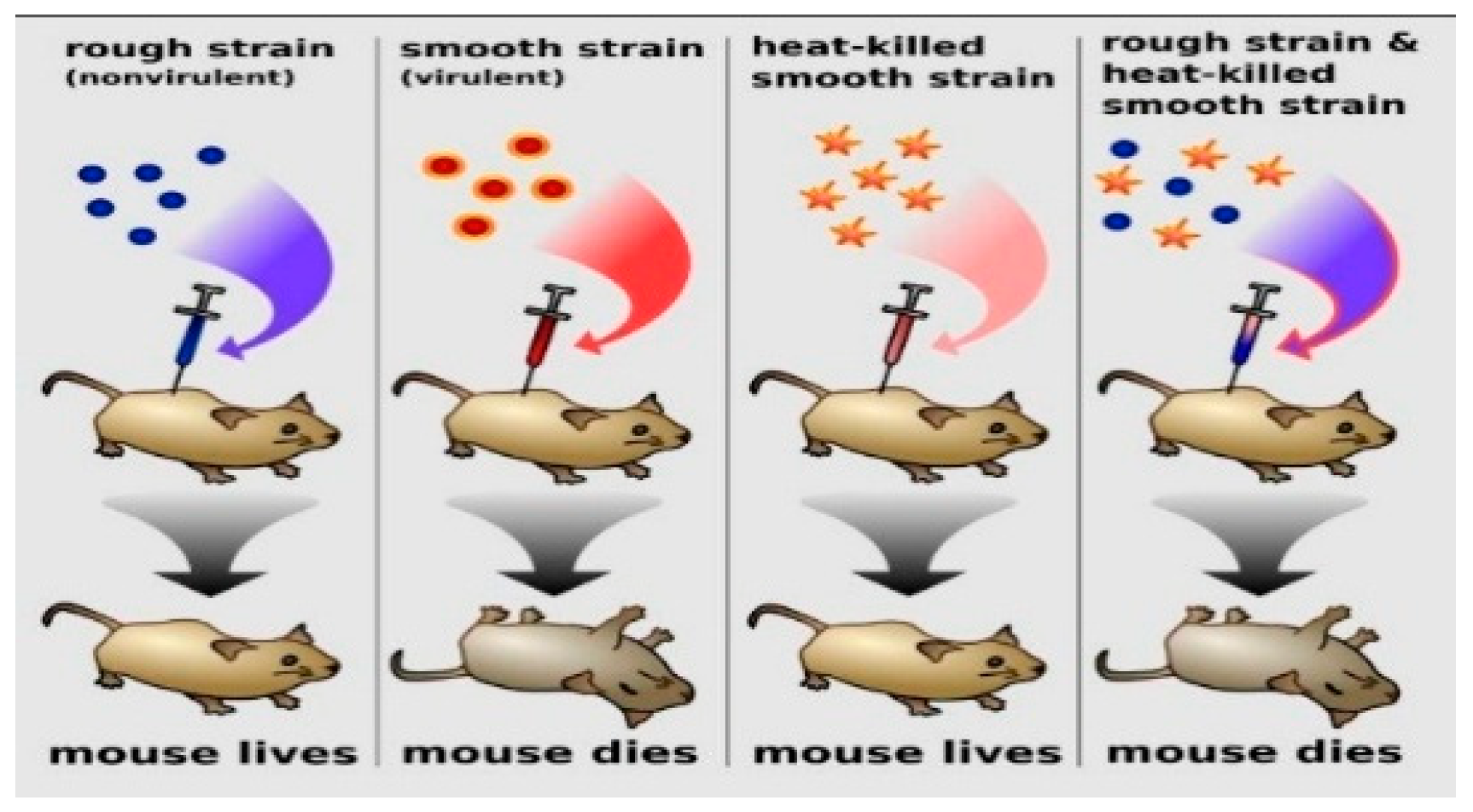 Education 16 00280 g002 Education 16 00280 g002