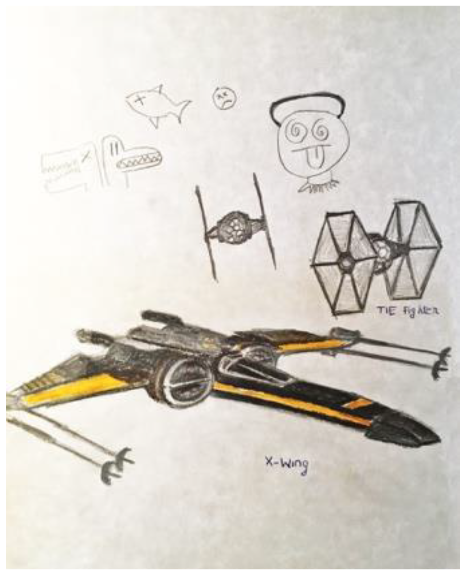 Ejihpe 11 00118 g002