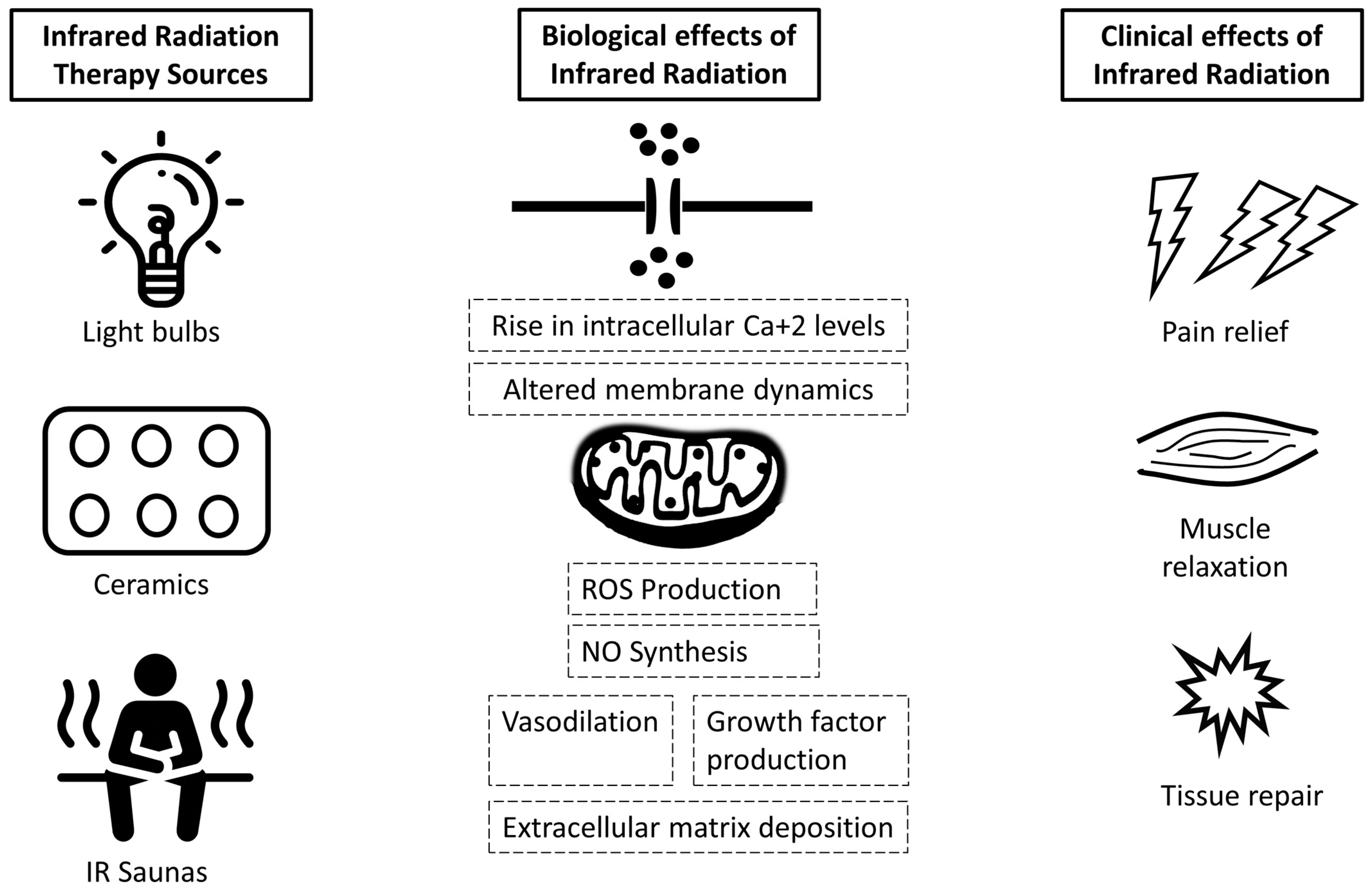 Ejihpe 12 00024 g001