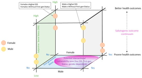 Conceptual framework of this study.
