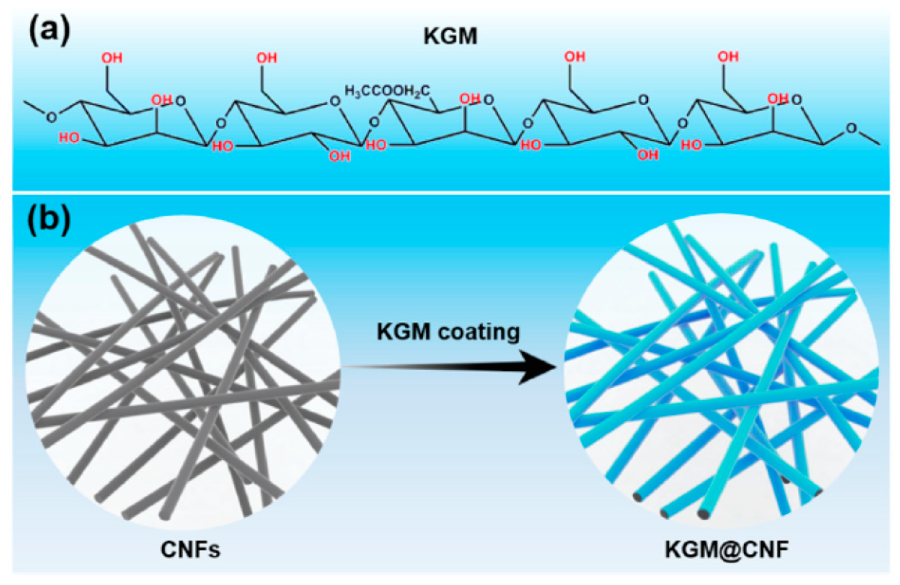 Electrochem 01 00016 g018
