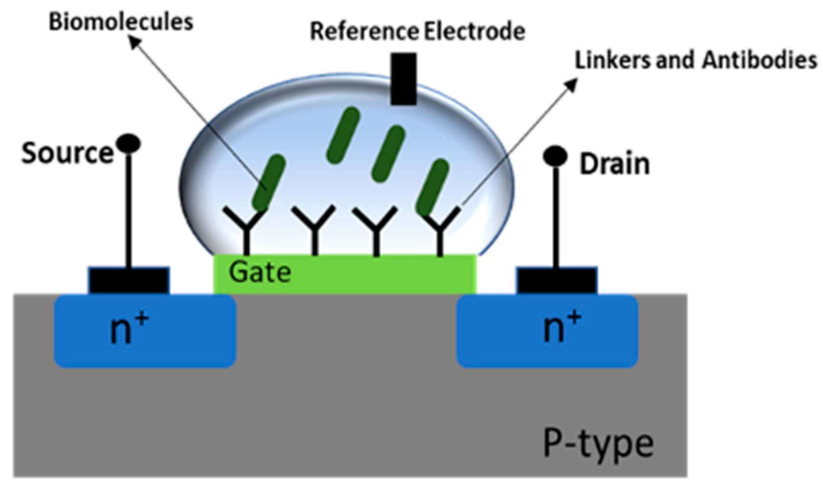 Electrochem 01 00017 g002