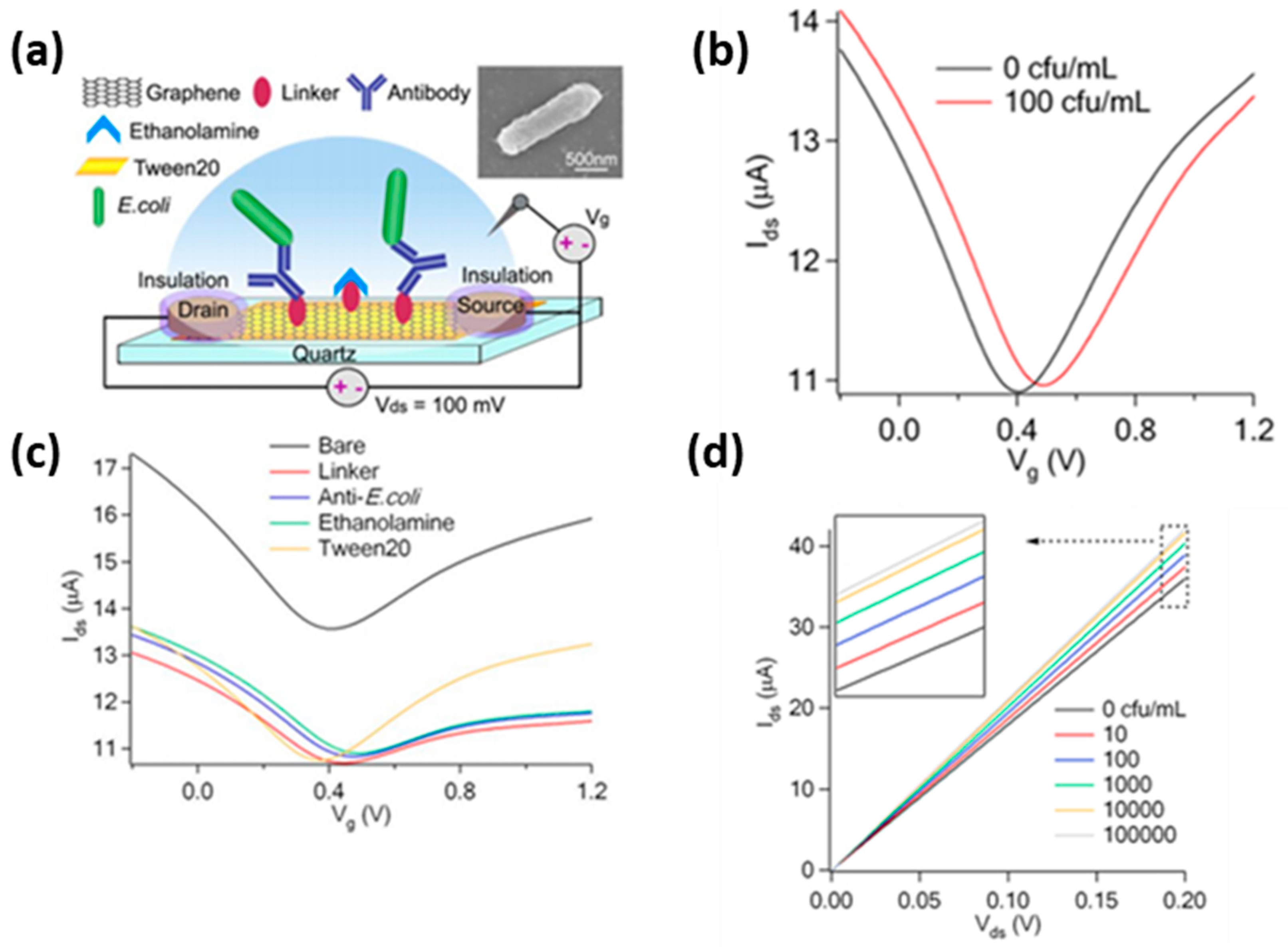 Electrochem 01 00017 g007