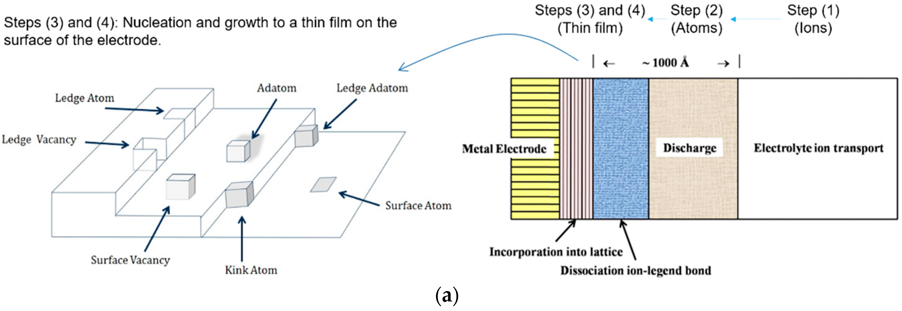 Electrochem 01 00019 g002a