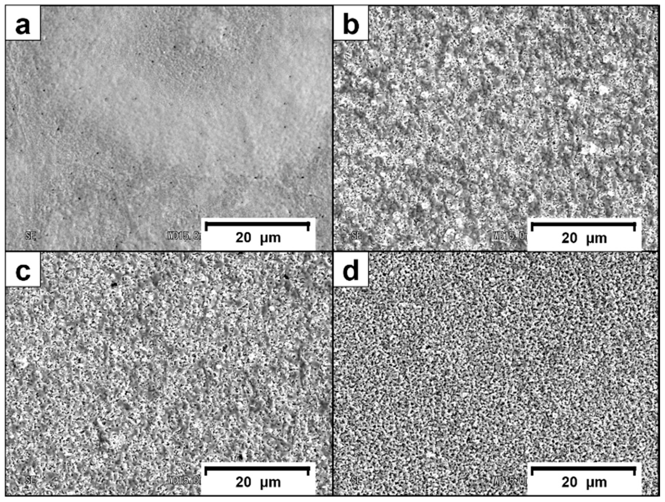 Electrochem 01 00025 g001