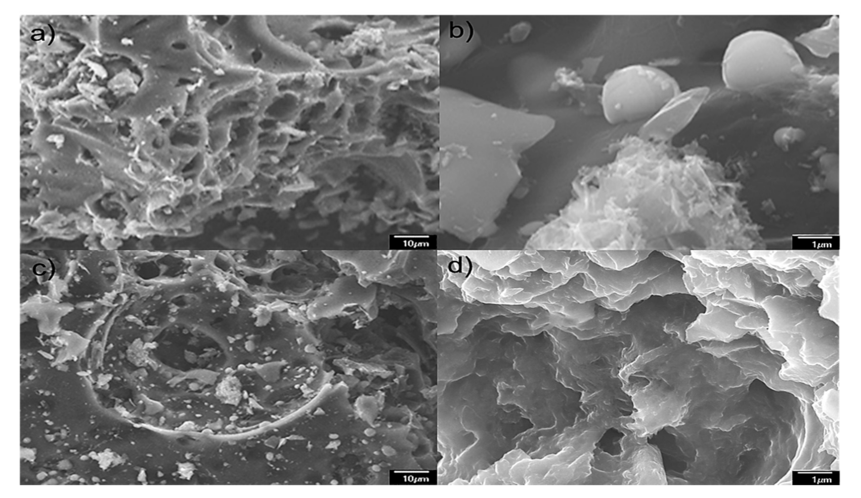 Electrochem 02 00003 g002