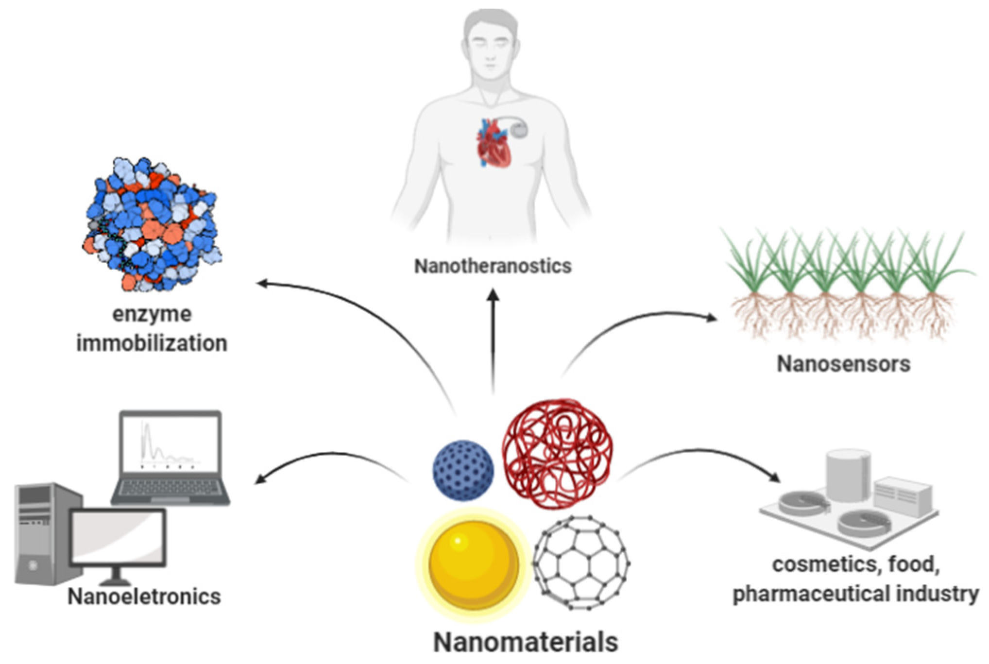 Electrochem 02 00012 g003