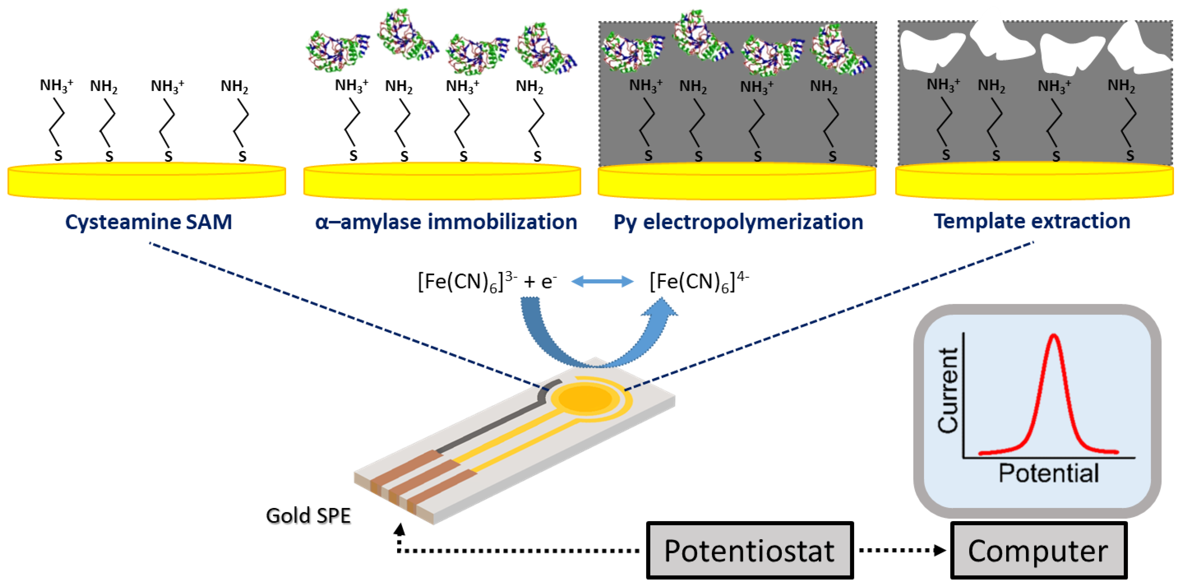 Electrochem 02 00028 g001