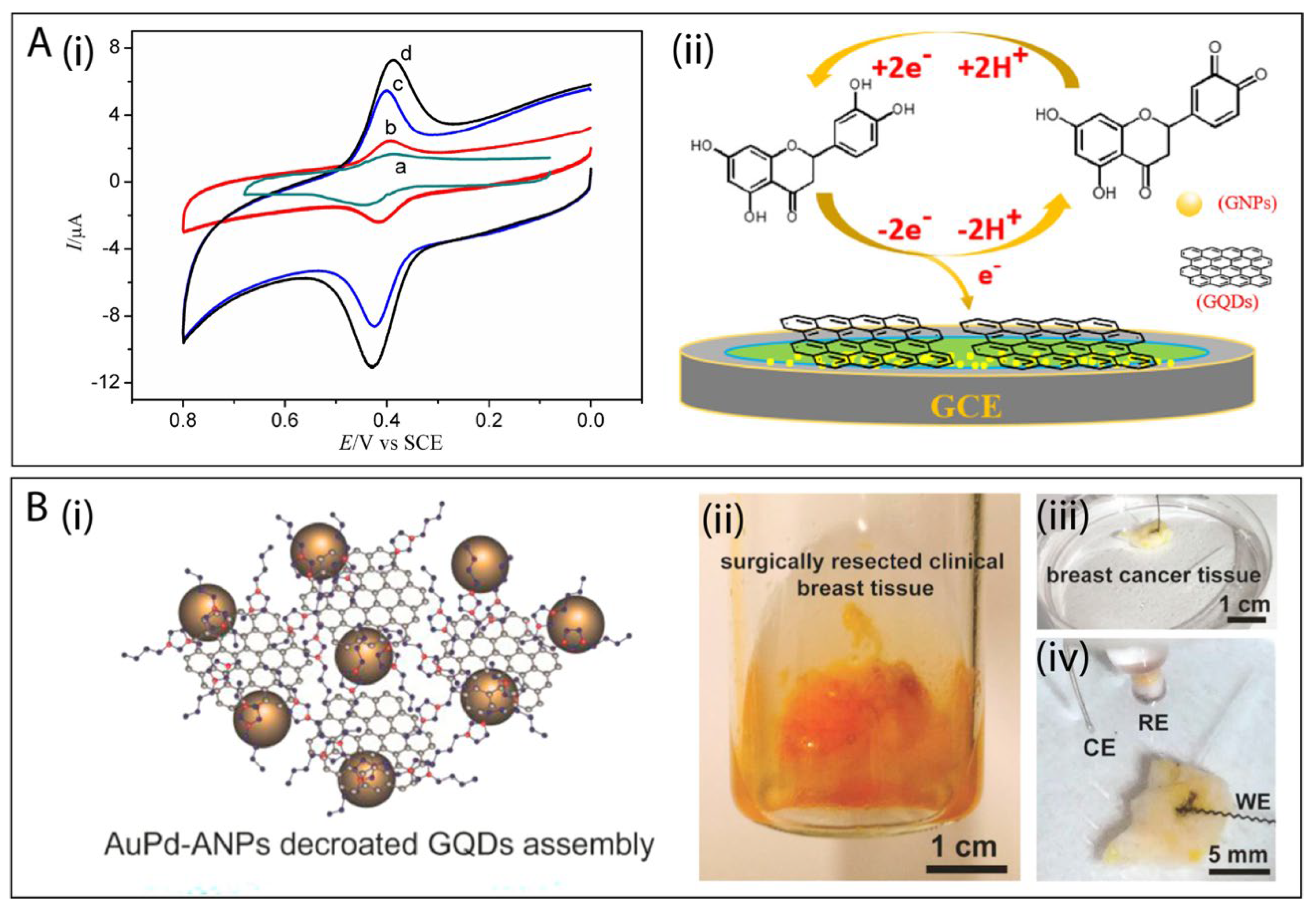 Electrochem 02 00032 g005