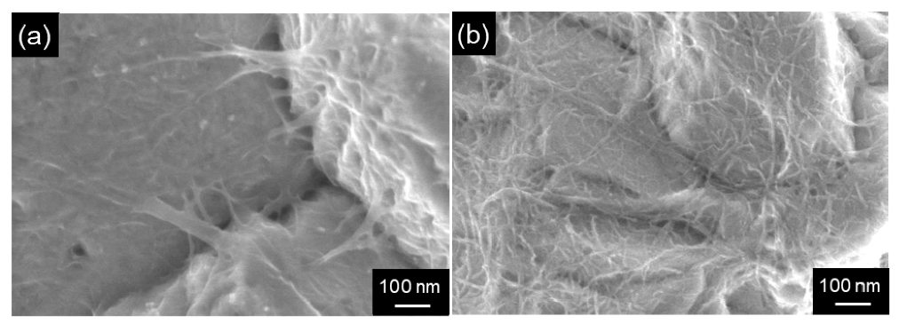 Electrochem 02 00036 g012