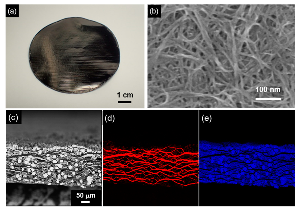 Electrochem 02 00036 g015