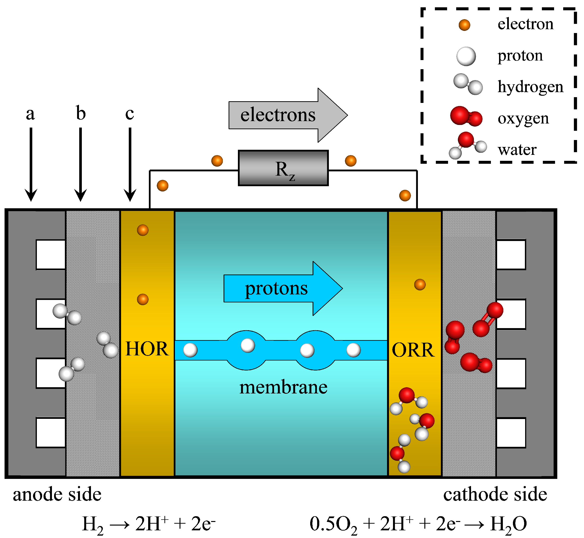 Electrochem 02 00037 g001