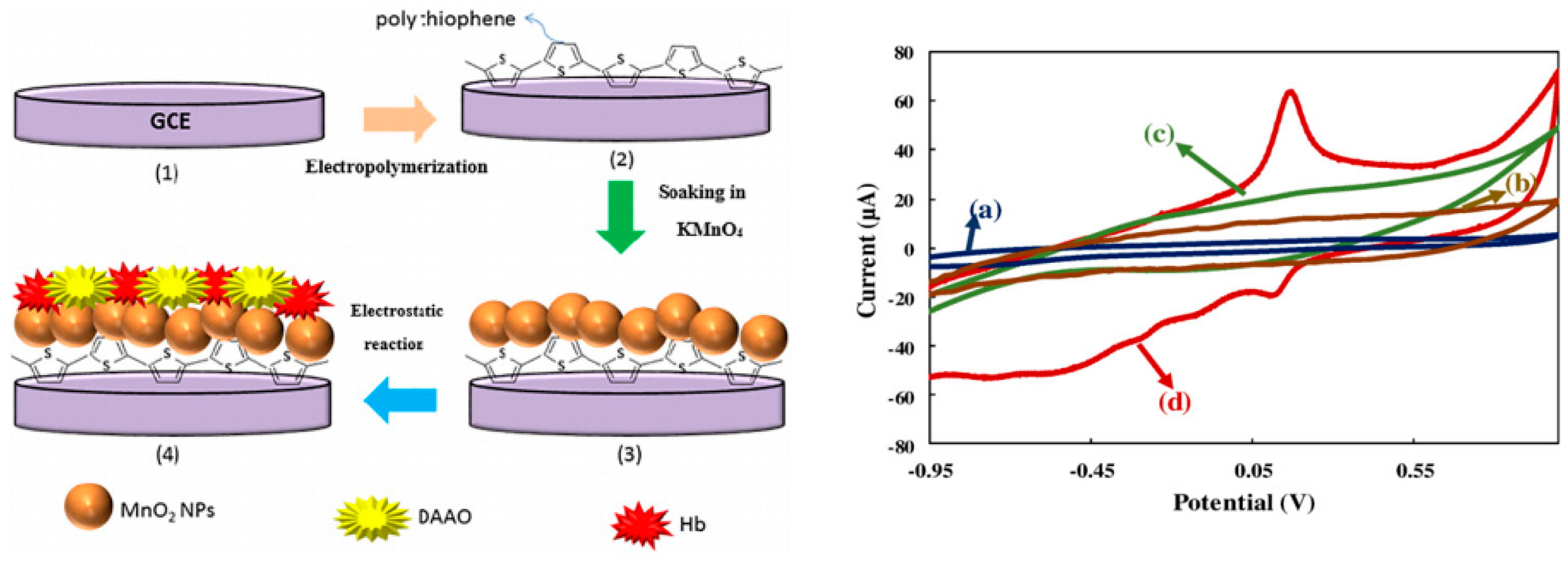Electrochem 02 00042 g007