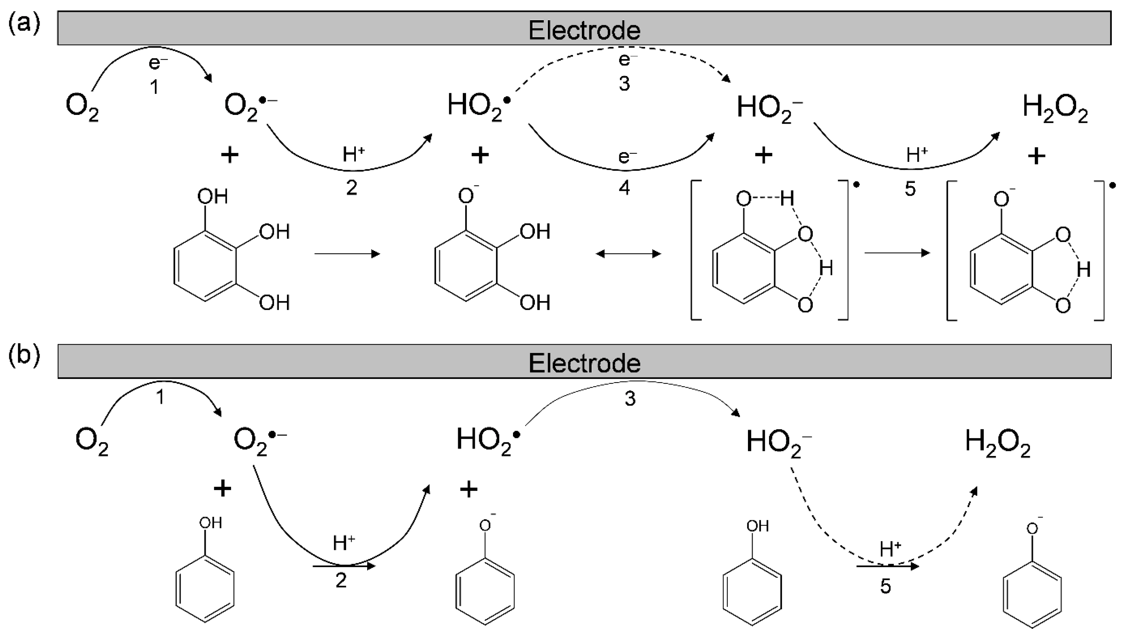 Electrochem 03 00008 g003