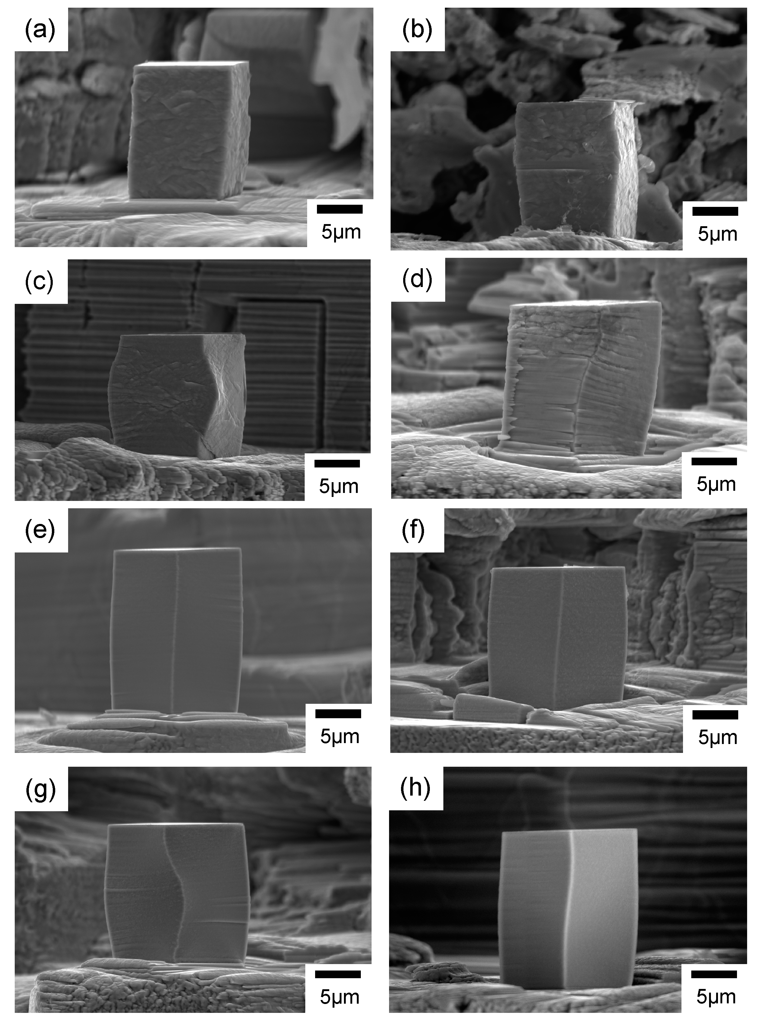 Electrochem 03 00012 g005