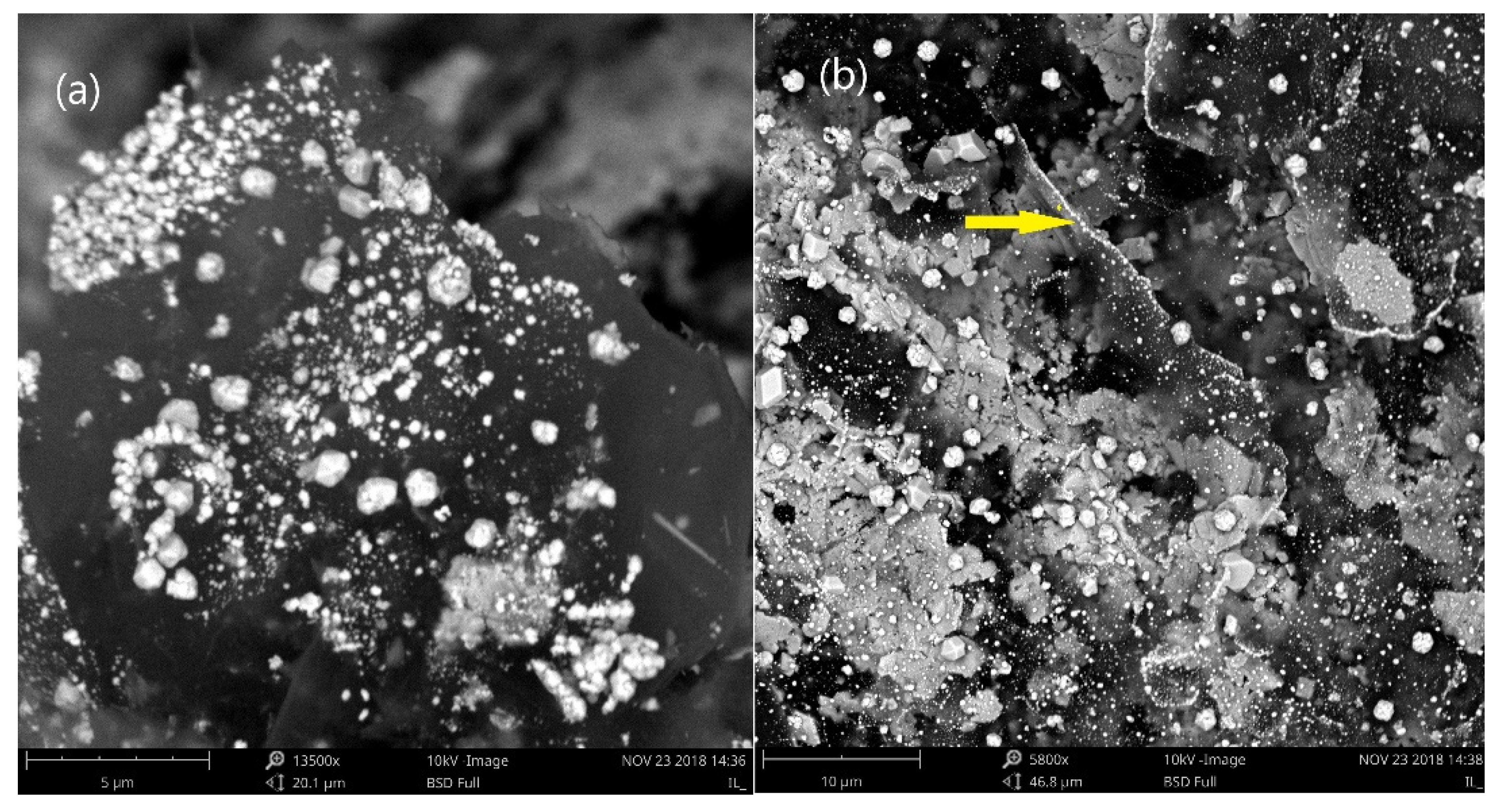 Electrochem 03 00015 g002