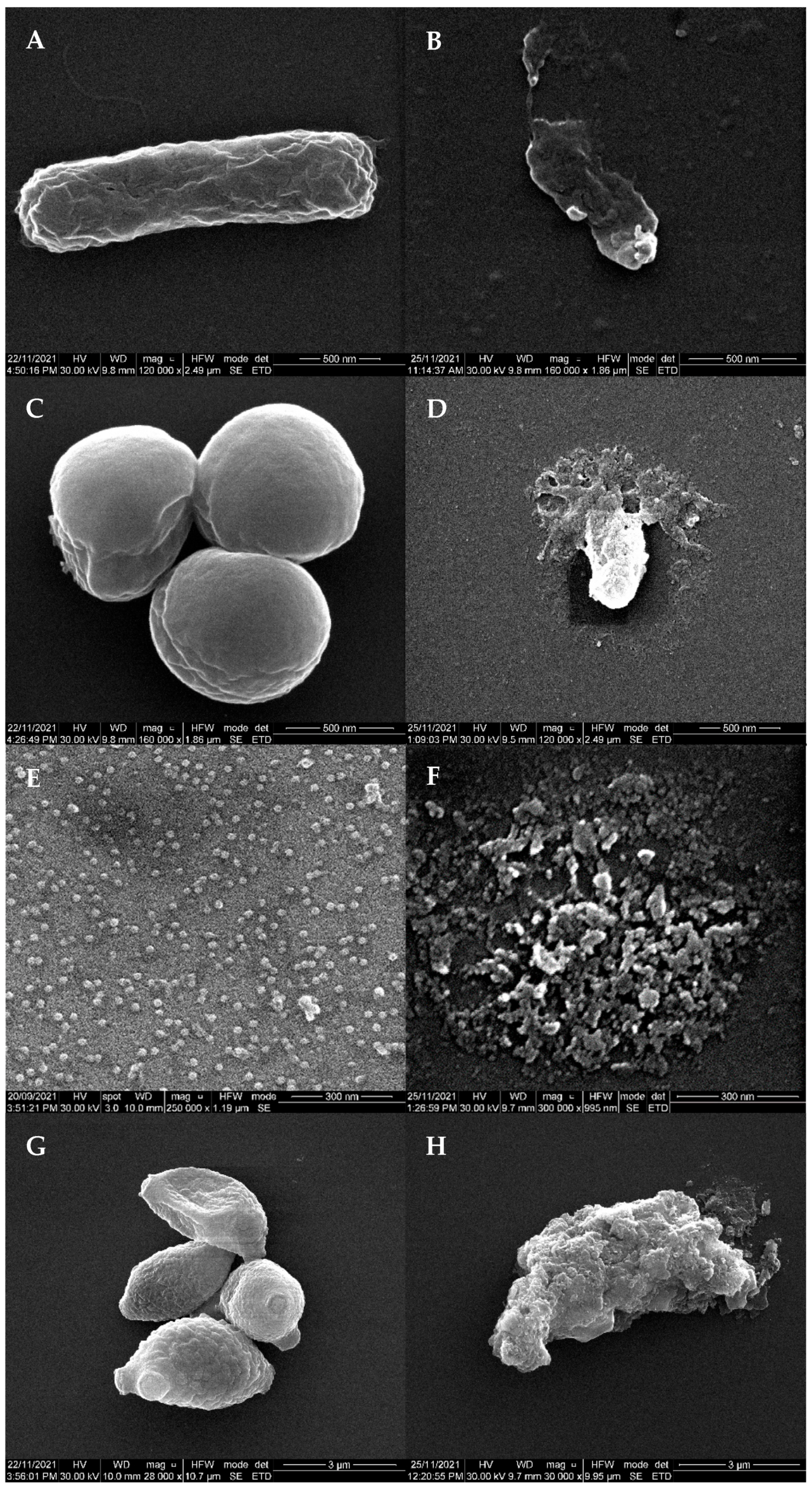 Electrochem 03 00019 g002