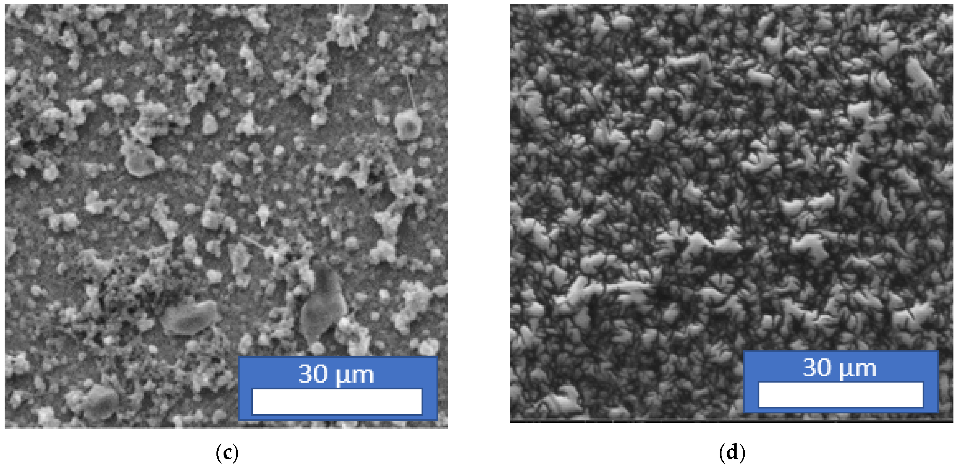 Electrochem 03 00022 g006b