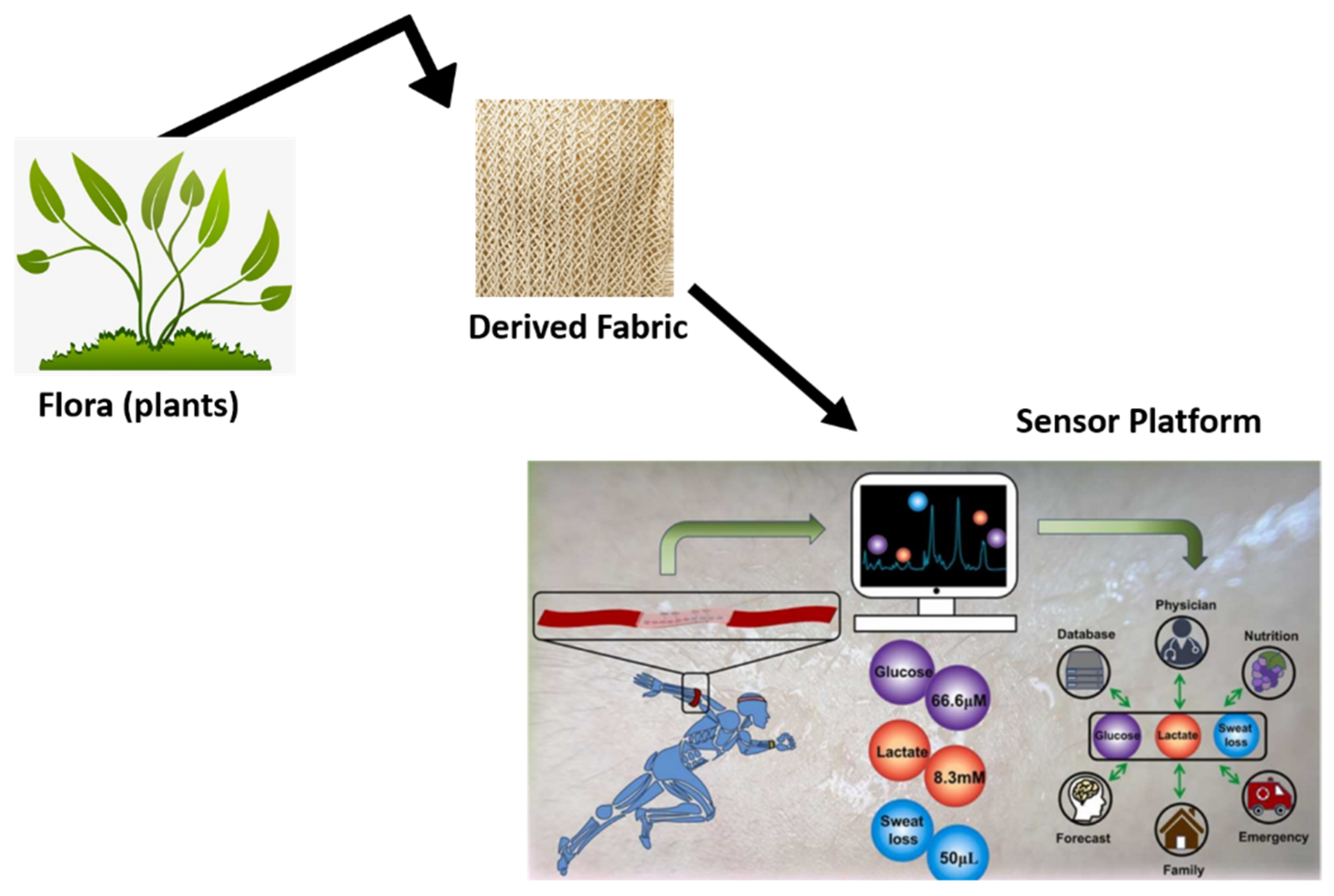 Electrochem 03 00041 g001 Electrochem 03 00041 g001
