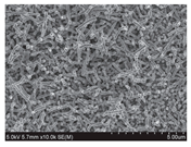 Electrochem 03 00050 i017