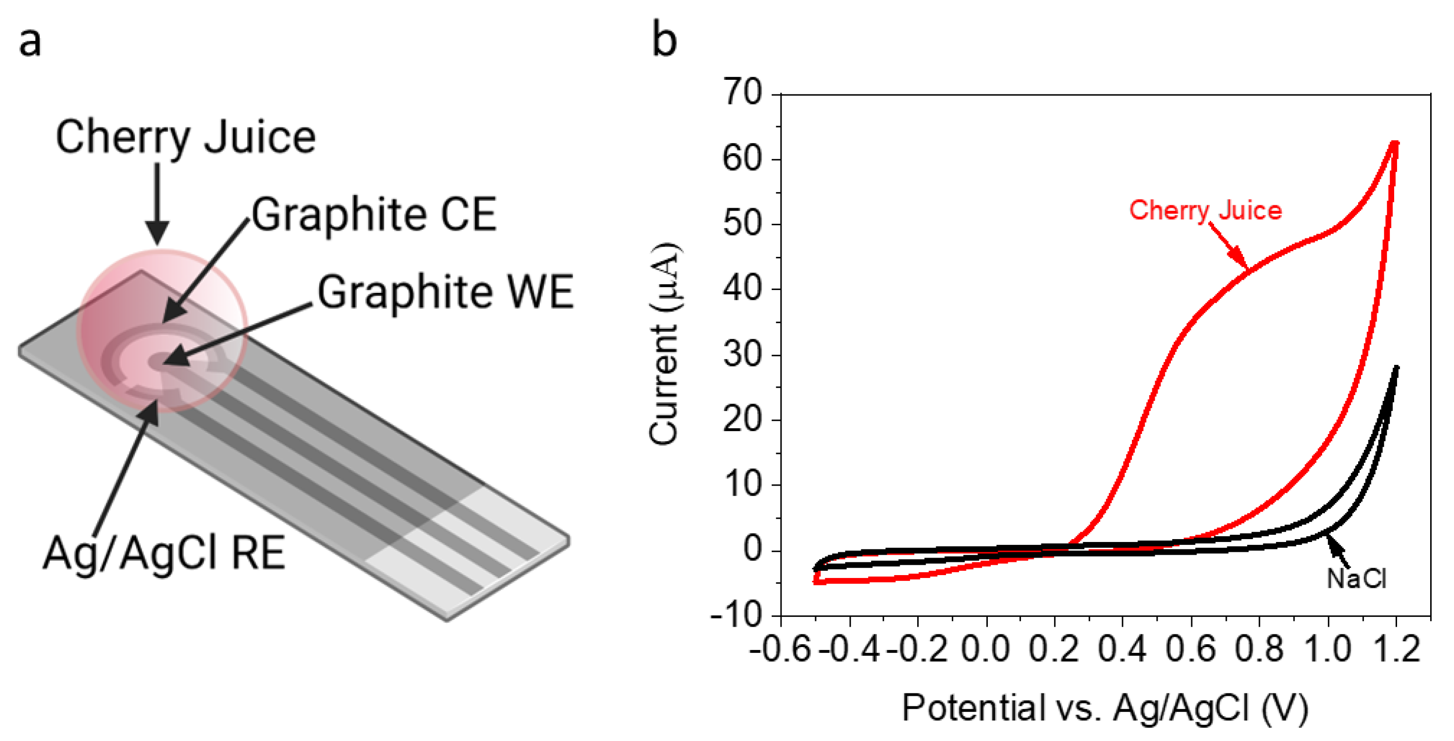 Electrochem 04 00005 g001