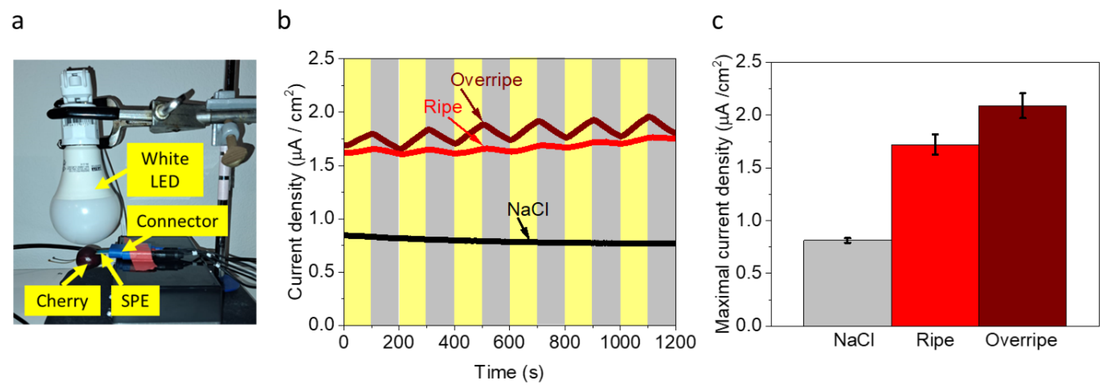 Electrochem 04 00005 g003