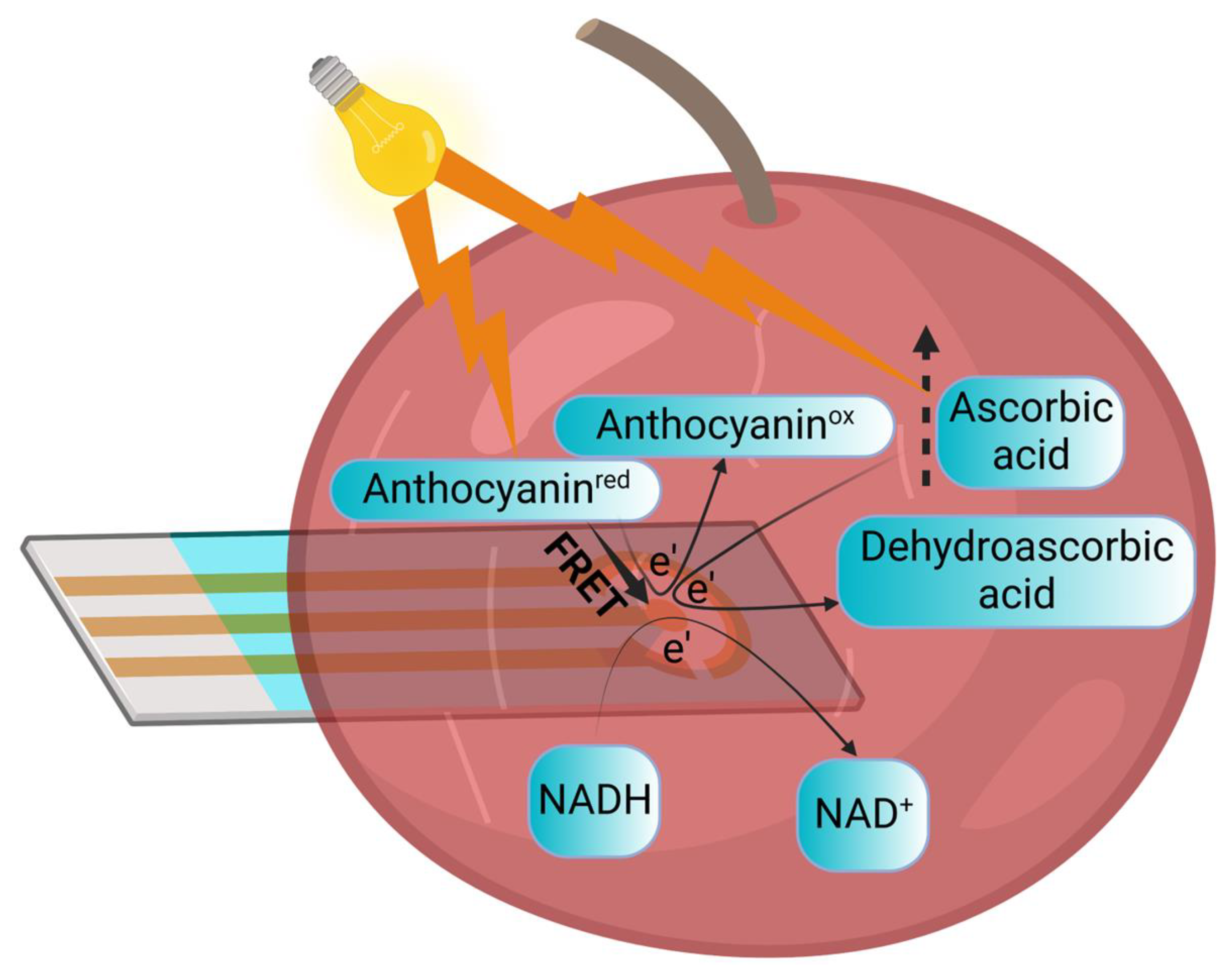 Electrochem 04 00005 g004