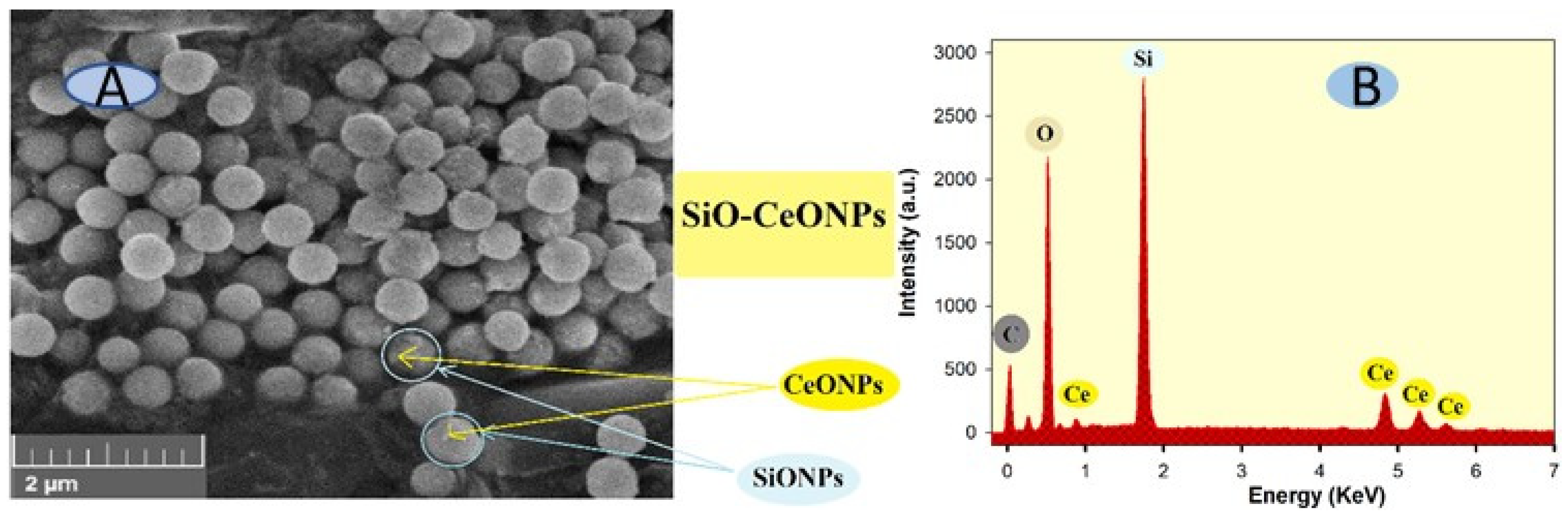 Electrochem 04 00006 g001