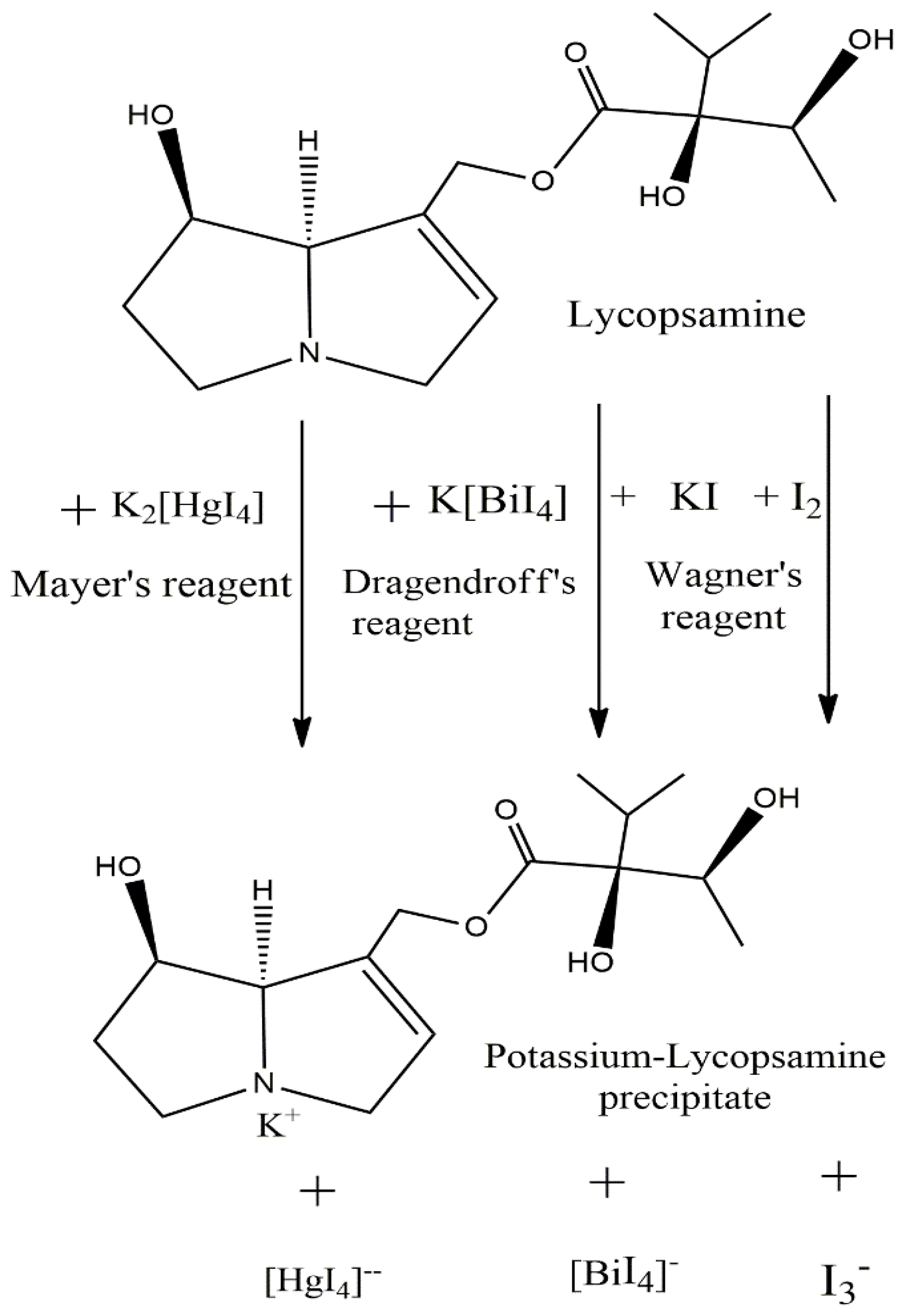 Electrochem 04 00009 g003