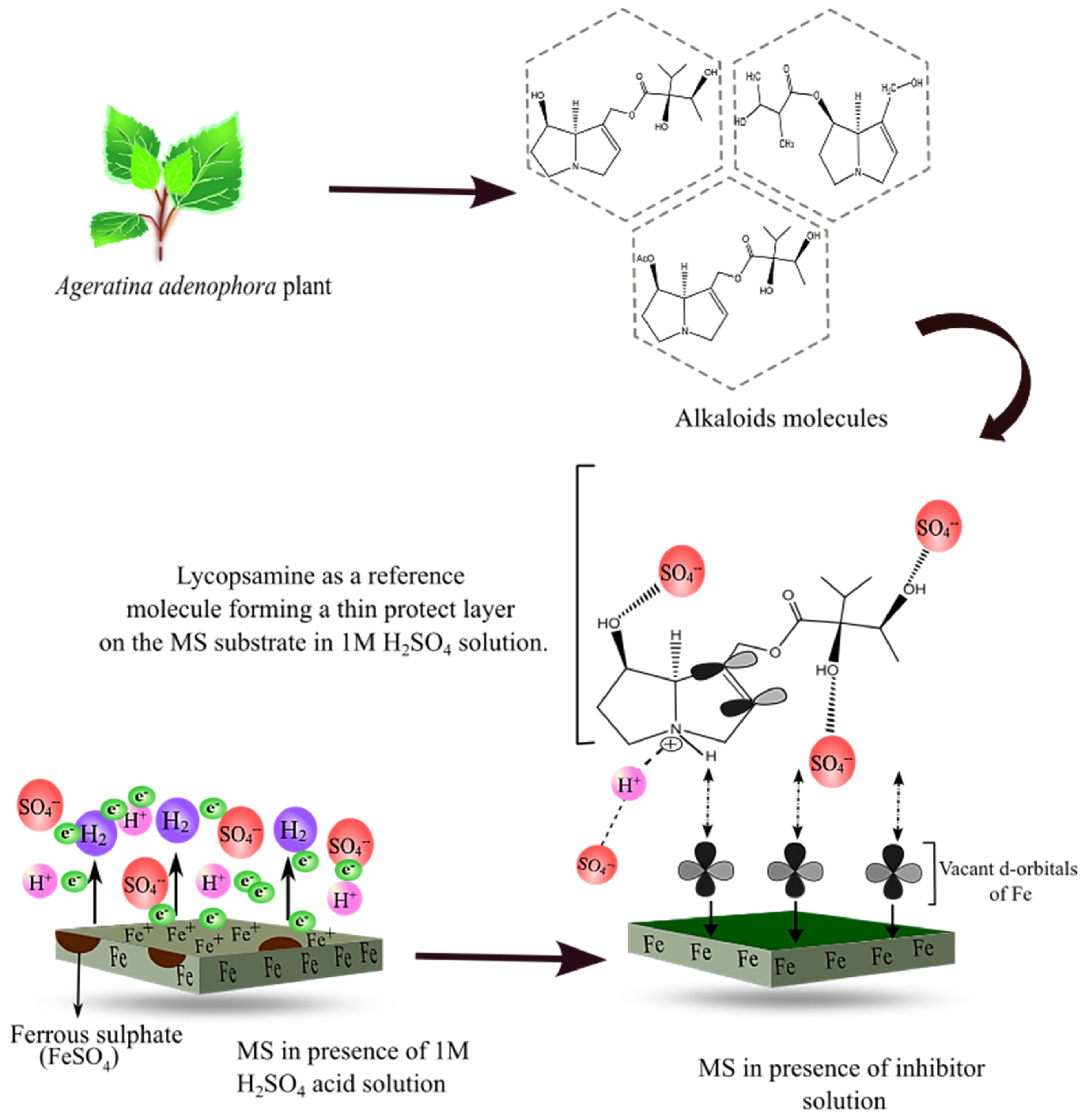 Electrochem 04 00009 g014