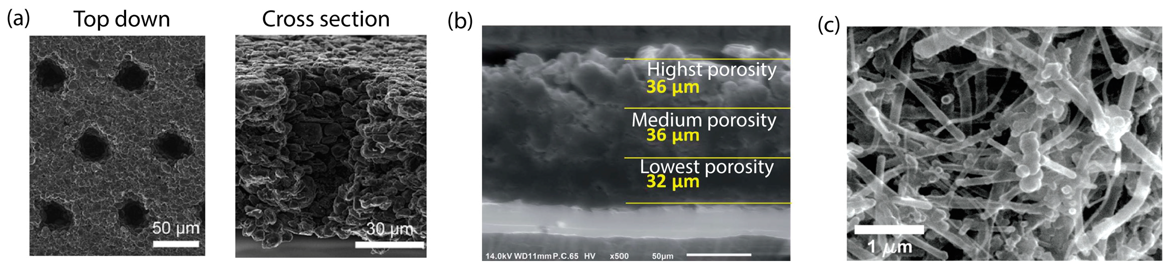 Electrochem 04 00013 g009
