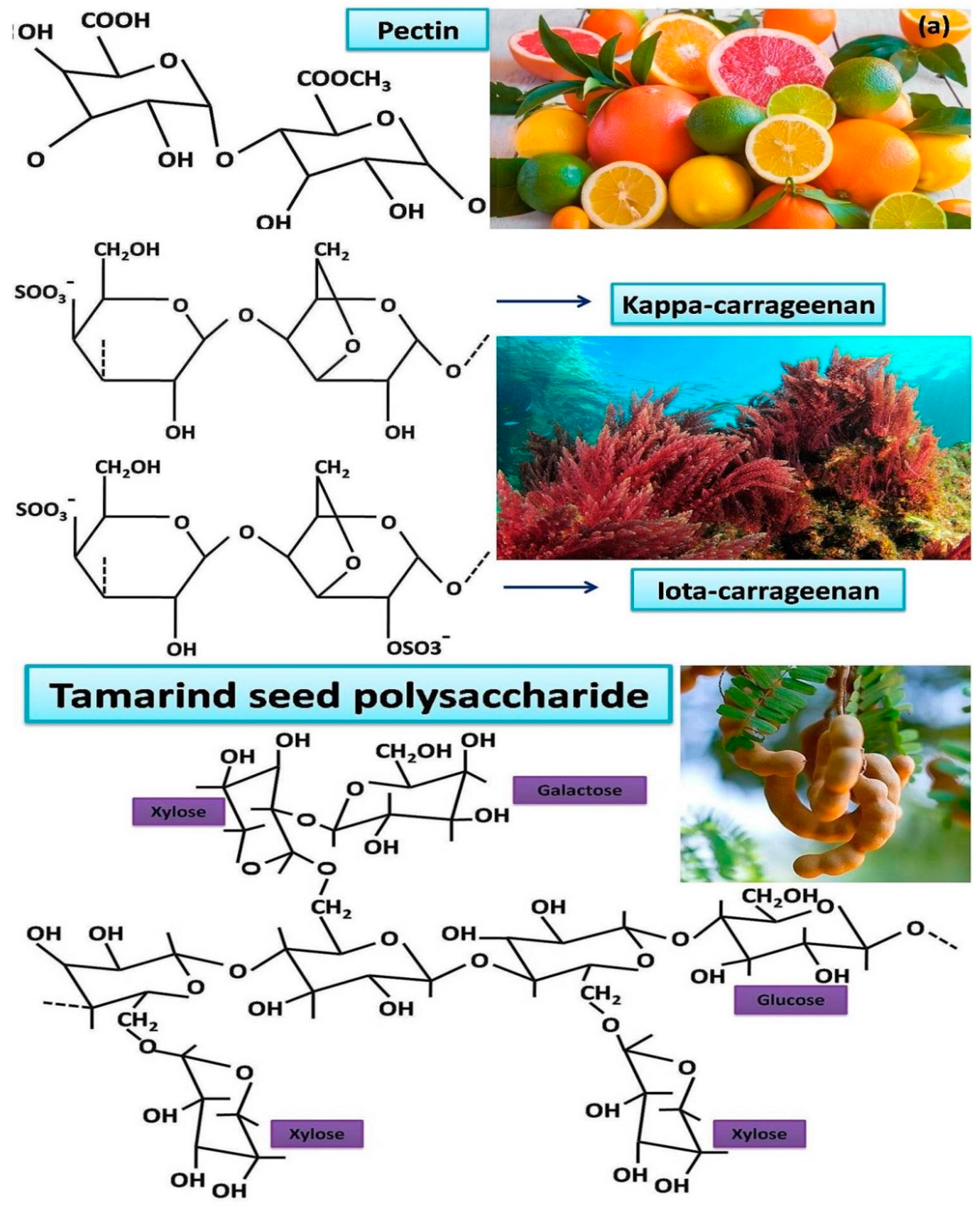 Electrochem 04 00015 g002a
