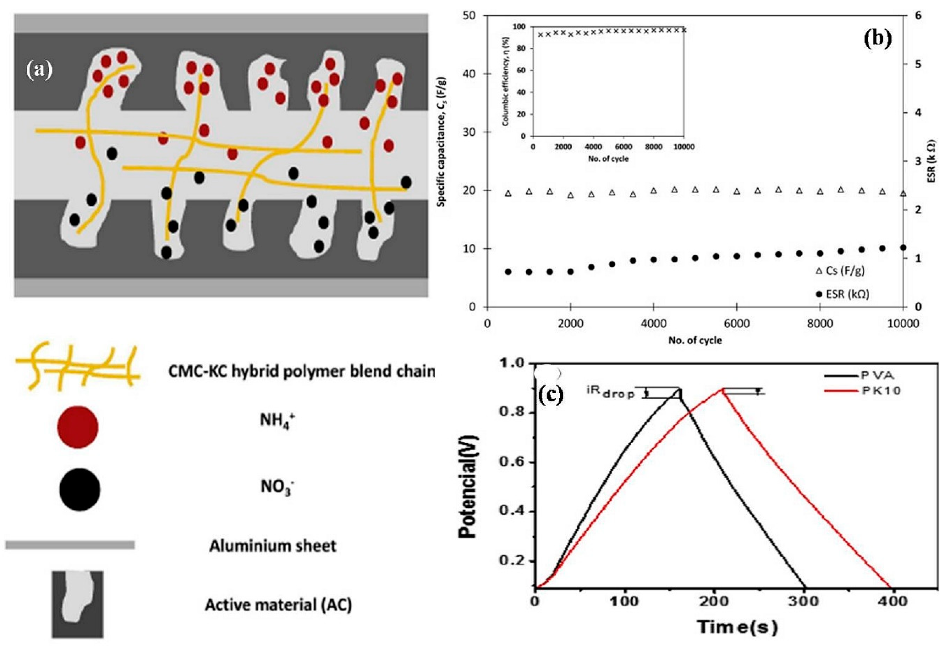 Electrochem 04 00015 g005