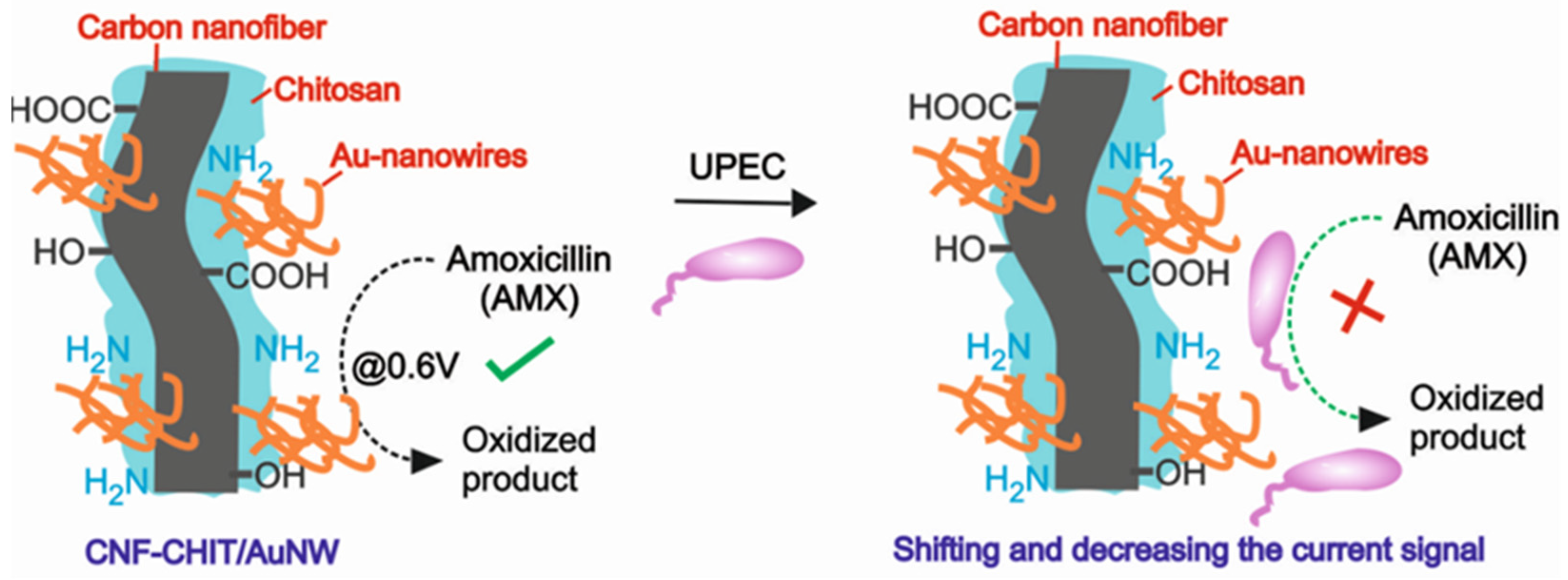 Electrochem 04 00020 sch001