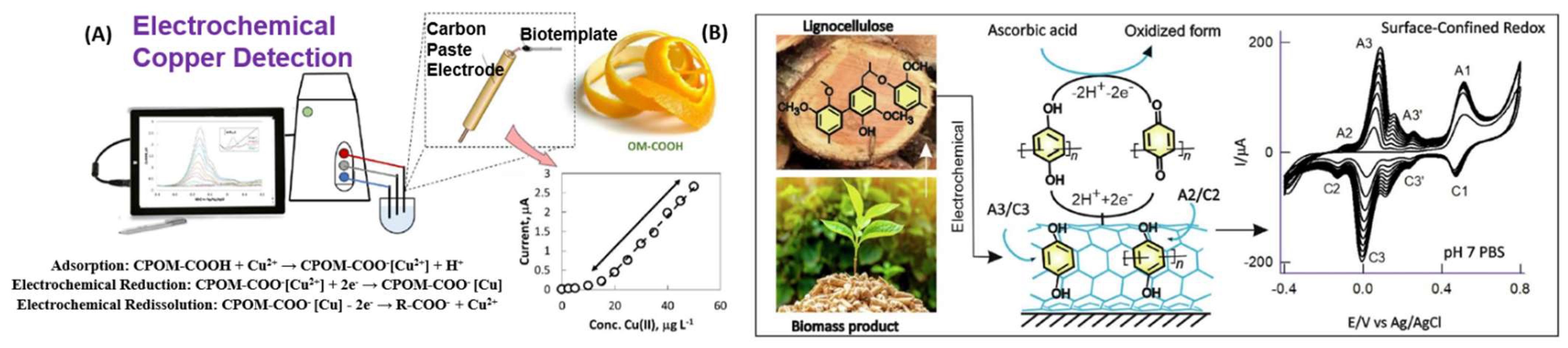 Electrochem 04 00026 g004