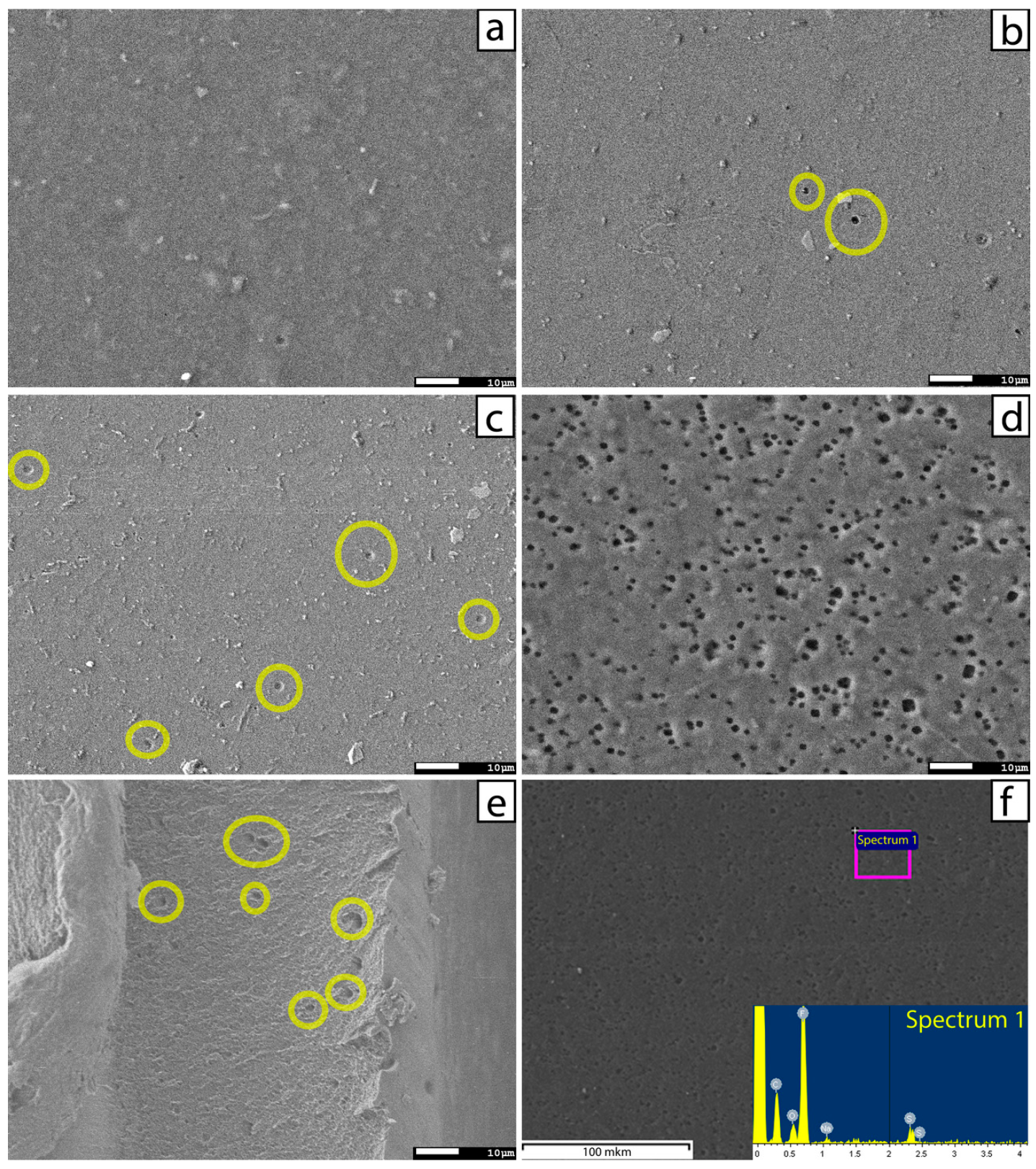 Electrochem 05 00006 g003