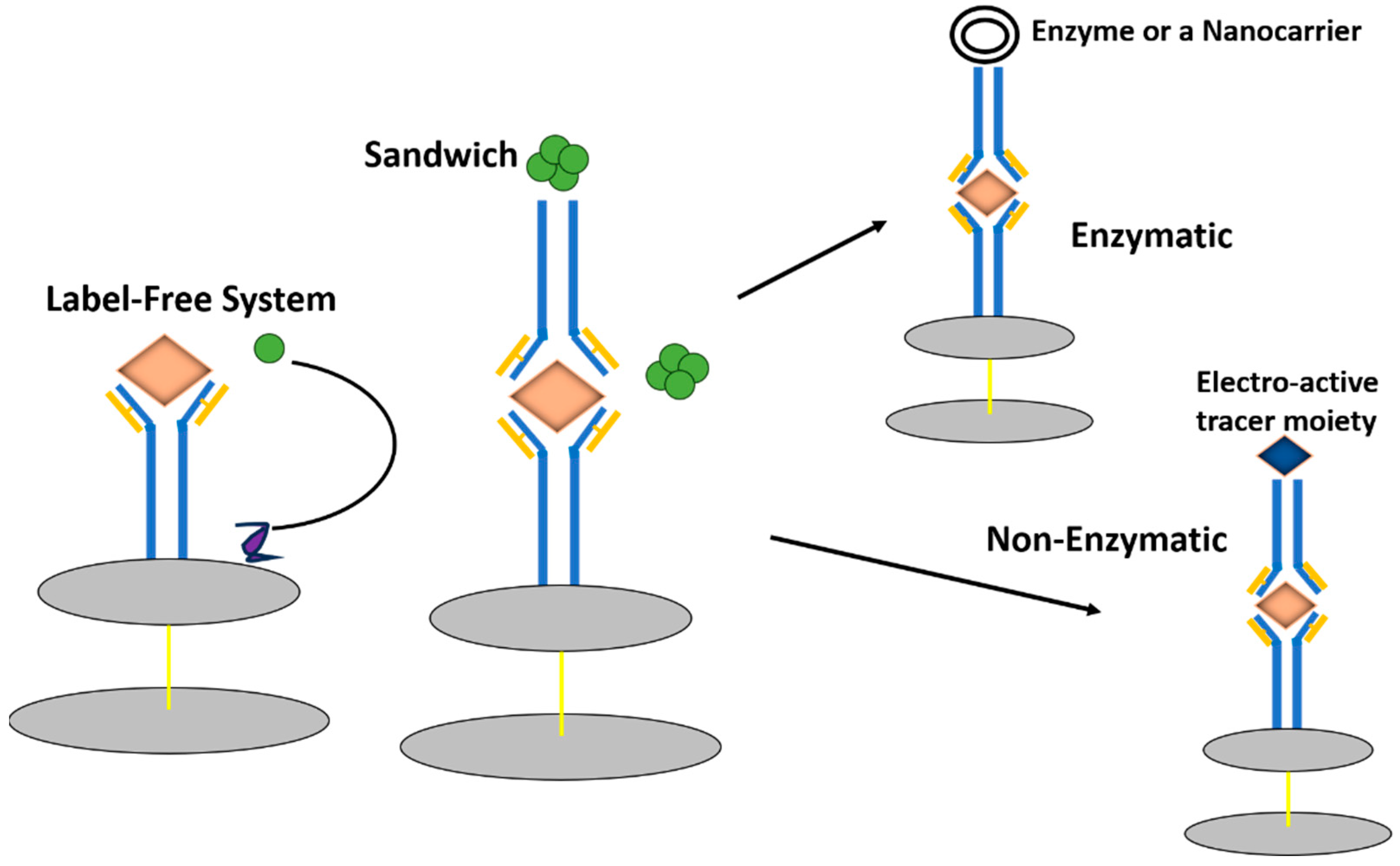 Electrochem 05 00010 g005