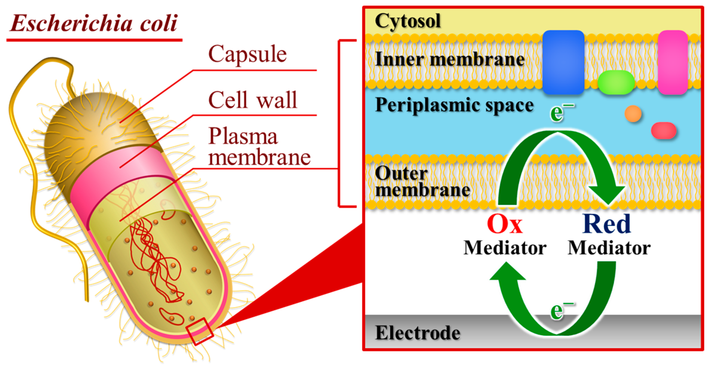 Electrochem 05 00024 g001