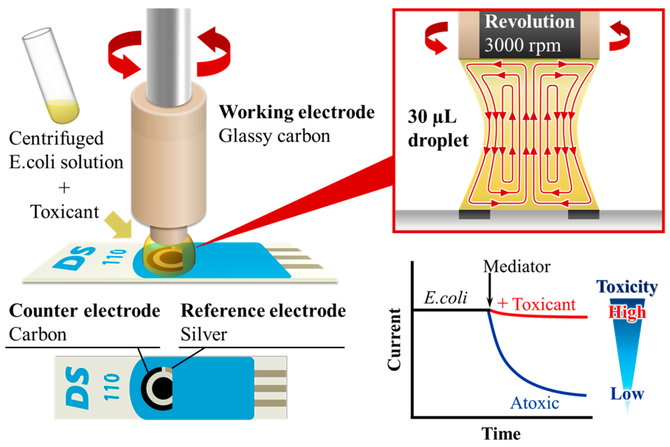 Electrochem 05 00024 g002