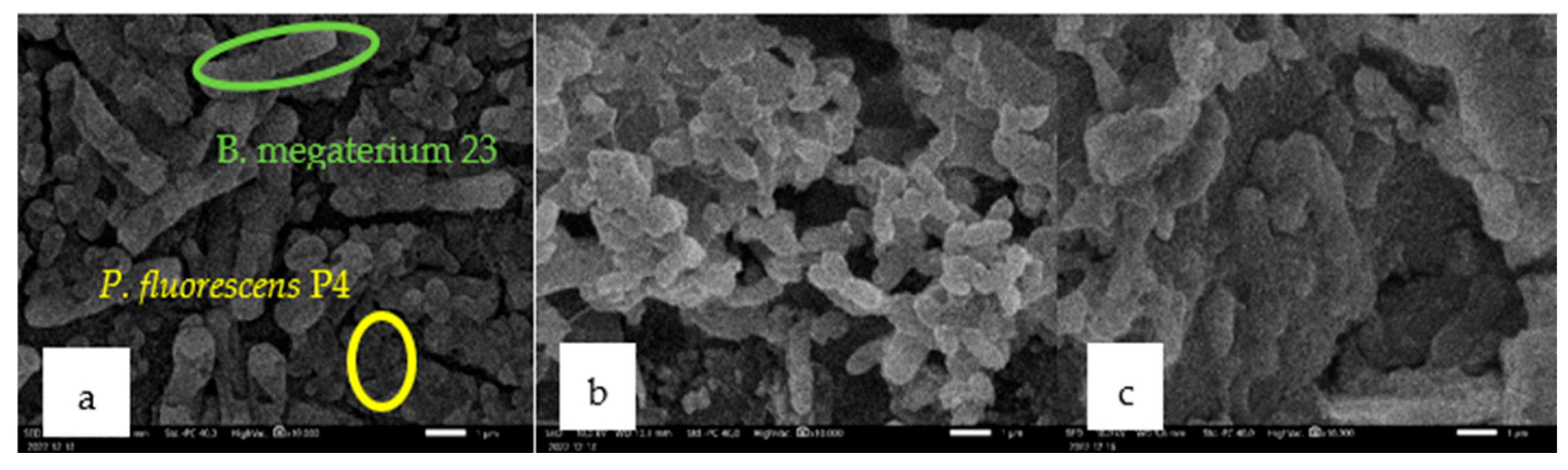 Electrochem 05 00034 g007 Electrochem 05 00034 g007